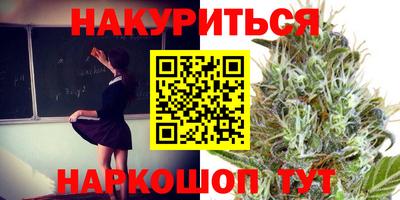 гидра Краснознаменск