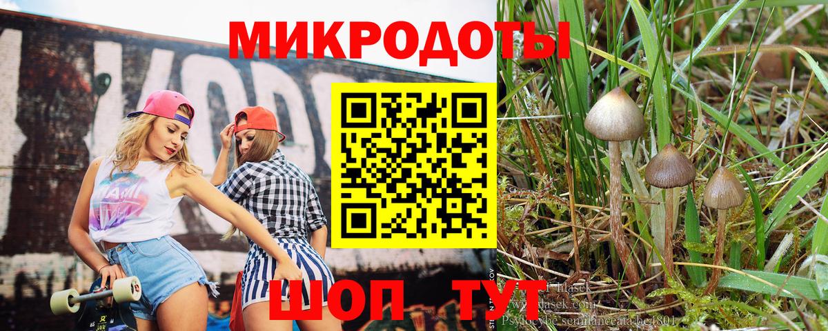 Псилоцибиновые грибы MAGIC MUSHROOMS  Псилоцибиновые грибы MAGIC MUSHROOMS  Зерноград  Вход с VPN 