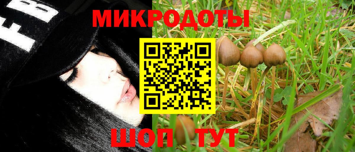 Псилоцибиновые грибы Magic Shrooms Зерноград